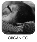 Orgánico