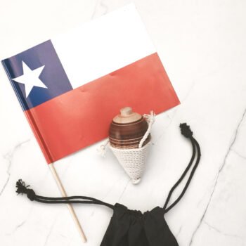 Tropo Chileno de Madera - Vuelta a Chile