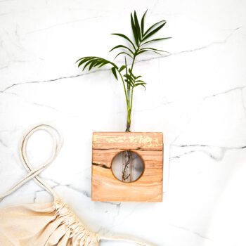 Sustentable de Planta